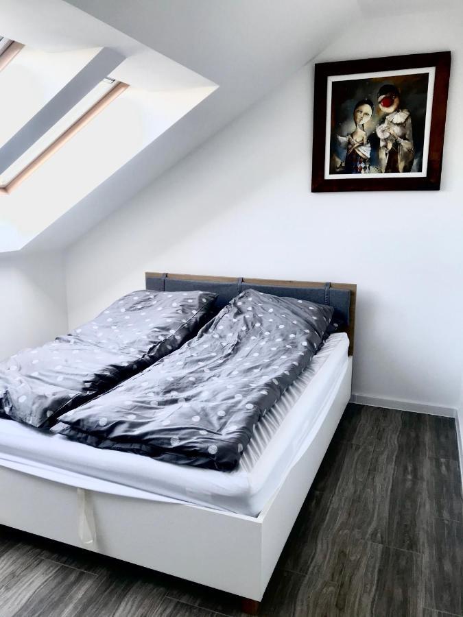 Apartament Julia Скерневице Экстерьер фото